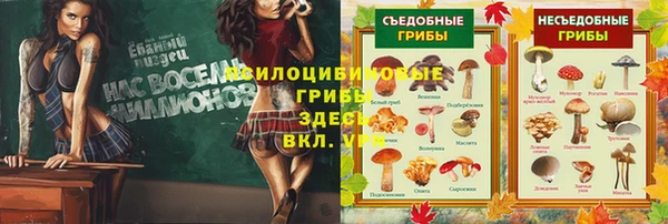 2c-b Абаза