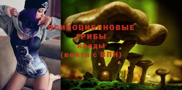 бутират Алексеевка