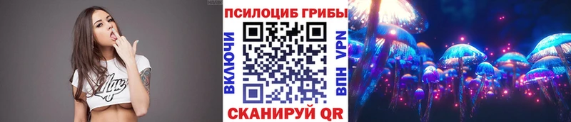 где купить наркоту  Кимовск  Псилоцибиновые грибы Psilocybe 