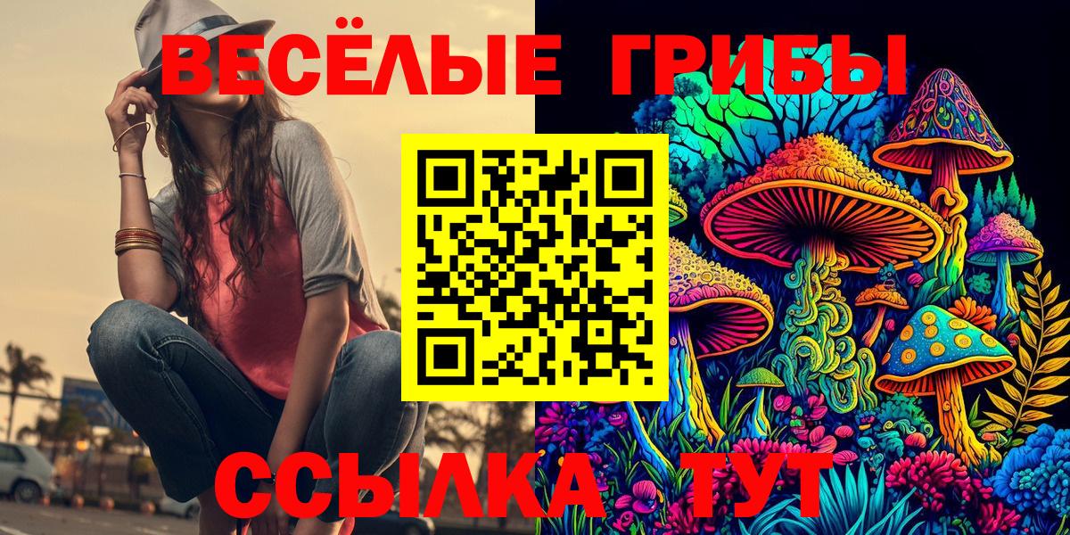 Галлюциногенные грибы прущие грибы Кимовск